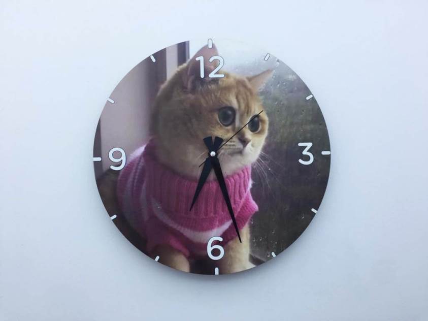 Fotoğraf Baskılı Saat - Kedi Baskılı Saat